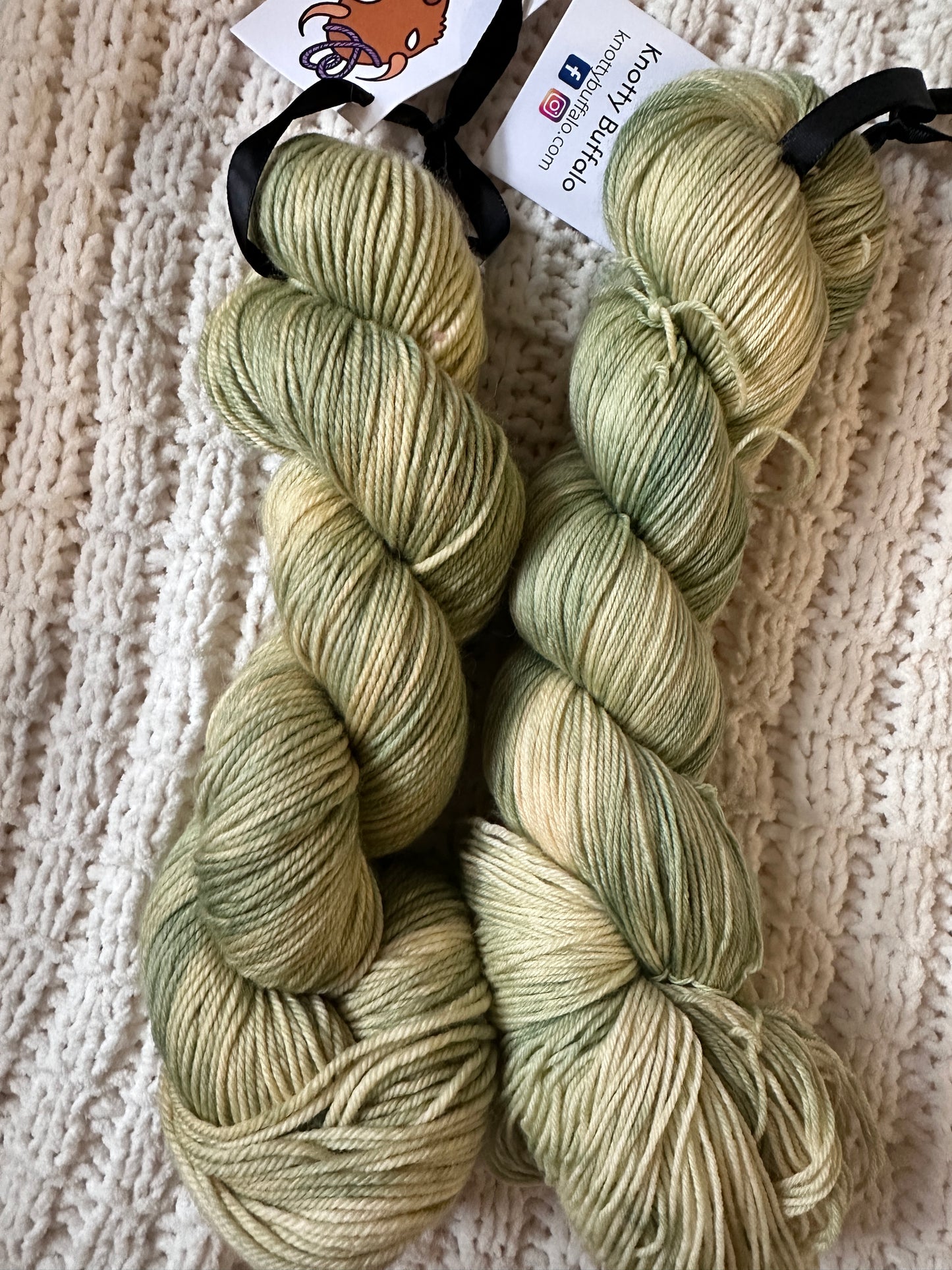 Lichen