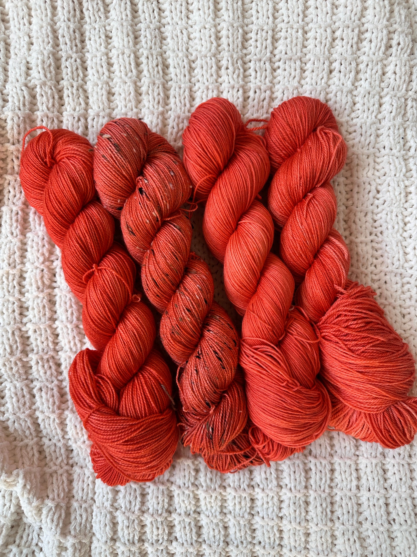 Definitely a pumpkin